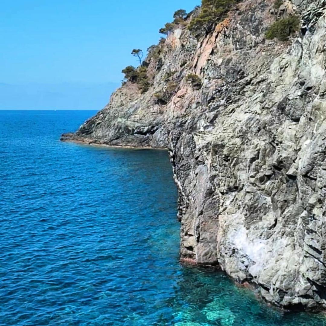 Nido Al Mare Apartment Bonassola Exterior photo