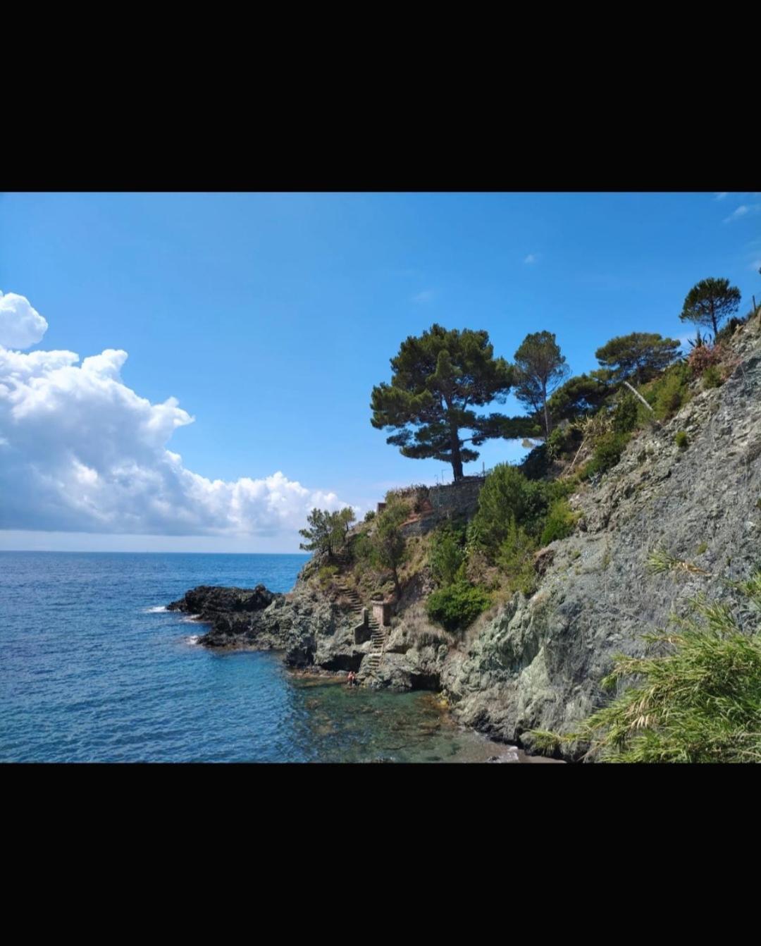 Nido Al Mare Apartment Bonassola Exterior photo